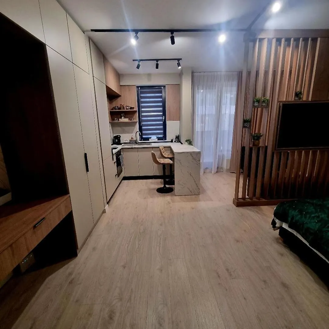 Happy Studio Luxury Pipera Voluntari Apartment